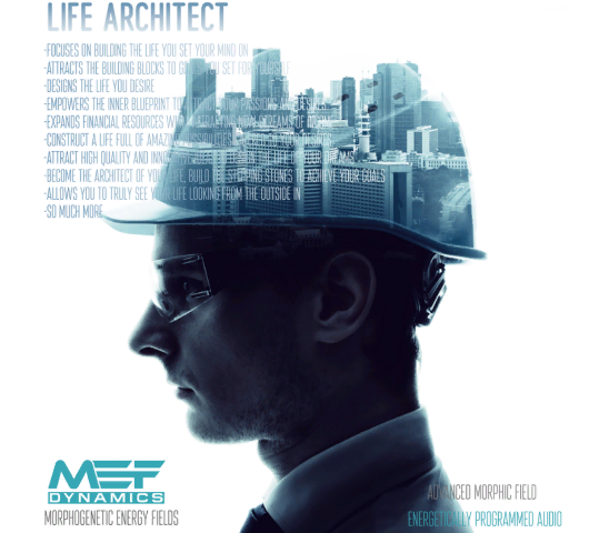 Архитектор жизни (Морфологическое поле) [MEF Dynamics].png