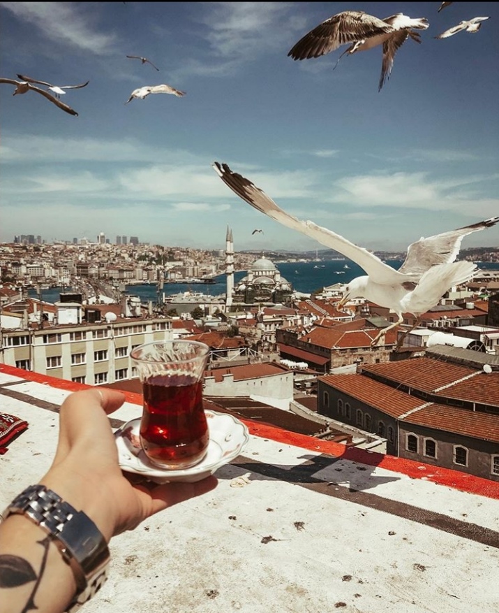 [Вика Смоляницкая].jpg