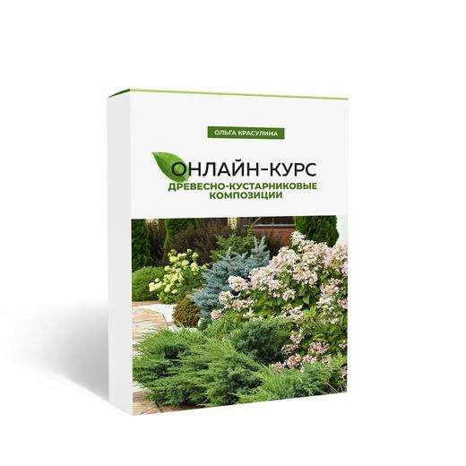 Древесно-кустарниковые композиции [Ольга Красулина].jpg