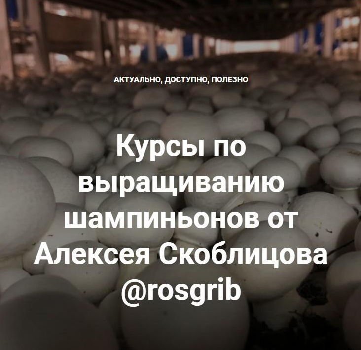 Курсы по выращиванию шампиньонов (Алексей Скоблицов).png