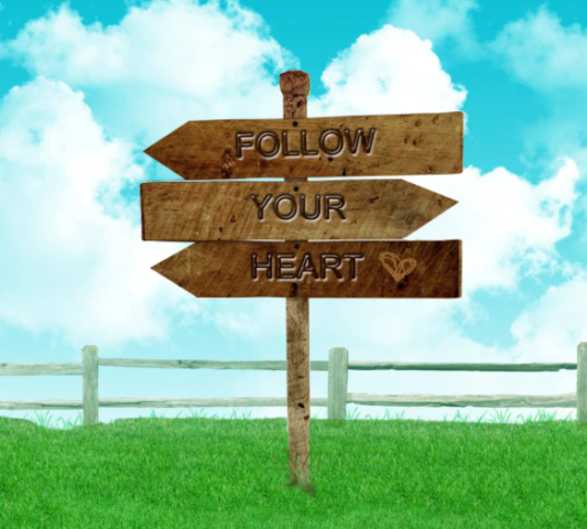 Связь разума и сердца.png