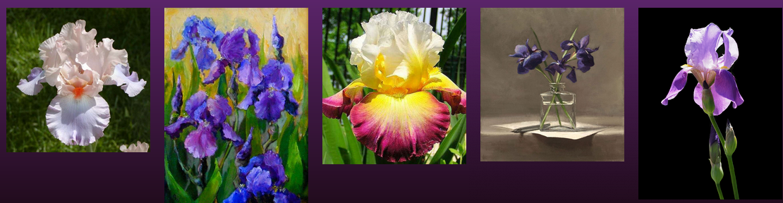 [Татьяна Зубова] Анатомия цветов. Ирисы (2022).png