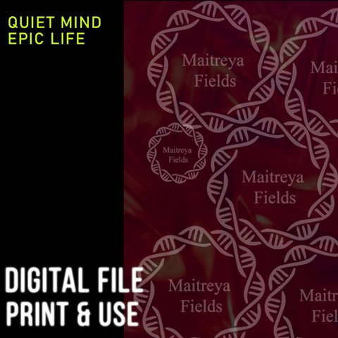 DM Эпическая жизнь спокойного разума.jpg