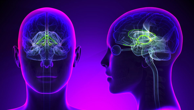 [Sapien Medicine] The brain massage soundscape. Звуковой ландшафт массажа мозга.png